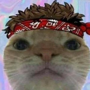 Meet your Posher, Kyle